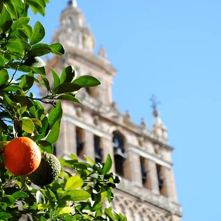Appartamento Azahar Metropol Parasol, Parking Gratis Coches Medianos